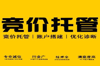竞价推广成功案例：网络营销启示录